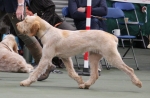 Filename=S-SharpesChallenge-4.jpg
Filesize=168KiB
Dimensions=800x526
Date added=Mar 23, 2021 S-SharpesChallenge-4.jpg