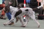 Filename=T-BackForGood-2.jpg
Filesize=171KiB
Dimensions=800x525
Date added=Mar 23, 2021 T-BackForGood-2.jpg