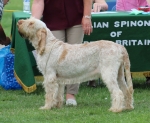 Filename=R-FairDinkum.JPG
Filesize=283KiB
Dimensions=1000x822
Date added=Mar 23, 2021 R-FairDinkum.JPG