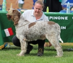 Filename=S-Vicenza.JPG
Filesize=305KiB
Dimensions=1000x873
Date added=Mar 23, 2021 S-Vicenza.JPG