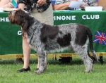 Filename=T-Ettore.JPG
Filesize=305KiB
Dimensions=1000x792
Date added=Mar 23, 2021 T-Ettore.JPG