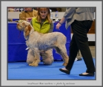 Filename=I_BlueLantern.jpg
Filesize=711KiB
Dimensions=916x780
Date added=Mar 23, 2021 I_BlueLantern.jpg