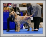 Filename=I_CrownJewels.jpg
Filesize=767KiB
Dimensions=975x780
Date added=Mar 23, 2021 I_CrownJewels.jpg