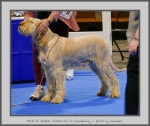 Filename=R_Cherriecola.jpg
Filesize=716KiB
Dimensions=924x780
Date added=Mar 23, 2021 R_Cherriecola.jpg