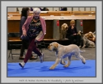 Filename=R_Cherriecola_1.jpg
Filesize=736KiB
Dimensions=947x780
Date added=Mar 23, 2021 R_Cherriecola_1.jpg