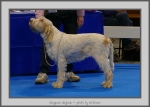 Filename=S_Skylark_1.jpg
Filesize=707KiB
Dimensions=1040x747
Date added=Mar 23, 2021 S_Skylark_1.jpg