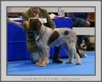 Filename=T_BackForGood.jpg
Filesize=804KiB
Dimensions=975x780
Date added=Mar 23, 2021 T_BackForGood.jpg