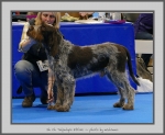 Filename=T_Ettore.jpg
Filesize=788KiB
Dimensions=950x780
Date added=Mar 23, 2021 T_Ettore.jpg
