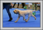 Filename=T_Grazioso_1.jpg
Filesize=816KiB
Dimensions=1040x732
Date added=Mar 23, 2021 T_Grazioso_1.jpg