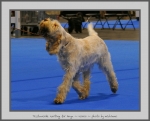 Filename=T_WaitingForAnya_1.jpg
Filesize=674KiB
Dimensions=965x780
Date added=Mar 23, 2021 T_WaitingForAnya_1.jpg