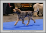 Filename=Van-DeWitthemhoeveScarletJackendaw_1.jpg
Filesize=754KiB
Dimensions=1040x755
Date added=Mar 23, 2021 Van-DeWitthemhoeveScarletJackendaw_1.jpg