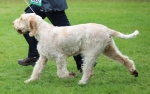 Filename=Aurelia-TheExplorer_281629.JPG
Filesize=204KiB
Dimensions=1000x630
Date added=Mar 23, 2021 Aurelia-TheExplorer_281629.JPG