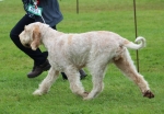 Filename=Aurelia-TheExplorer_281929.JPG
Filesize=221KiB
Dimensions=1000x696
Date added=Mar 23, 2021 Aurelia-TheExplorer_281929.JPG