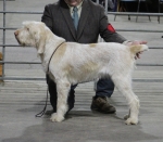 Filename=A-HappyEverAfter.jpg
Filesize=206KiB
Dimensions=800x701
Date added=Mar 23, 2021 A-HappyEverAfter.jpg