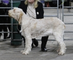 Filename=Aurelia-TheExplorer.jpg
Filesize=208KiB
Dimensions=800x670
Date added=Mar 23, 2021 Aurelia-TheExplorer.jpg