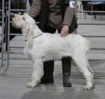 Filename=C-SaraPellegrini.jpg
Filesize=204KiB
Dimensions=800x755
Date added=Mar 23, 2021 C-SaraPellegrini.jpg