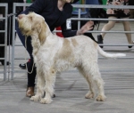Filename=G-Gandini.jpg
Filesize=200KiB
Dimensions=800x681
Date added=Mar 23, 2021 G-Gandini.jpg