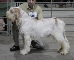 Filename=H-KirRoyale.jpg
Filesize=194KiB
Dimensions=800x656
Date added=Mar 23, 2021 H-KirRoyale.jpg