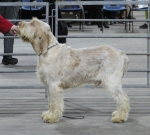 Filename=I-Galaxi.jpg
Filesize=210KiB
Dimensions=800x723
Date added=Mar 23, 2021 I-Galaxi.jpg