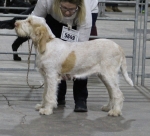Filename=I-Mima.jpg
Filesize=205KiB
Dimensions=800x726
Date added=Mar 23, 2021 I-Mima.jpg