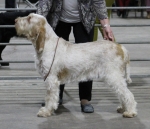 Filename=I-Palmina.jpg
Filesize=205KiB
Dimensions=800x689
Date added=Mar 23, 2021 I-Palmina.jpg