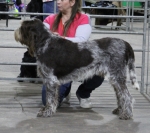 Filename=J-Rossi.jpg
Filesize=216KiB
Dimensions=800x711
Date added=Mar 23, 2021 J-Rossi.jpg