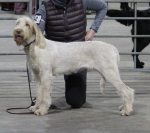 Filename=K-Olivia.jpg
Filesize=197KiB
Dimensions=800x713
Date added=Mar 23, 2021 K-Olivia.jpg