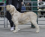Filename=L-ItalianJasmine.jpg
Filesize=210KiB
Dimensions=800x662
Date added=Mar 23, 2021 L-ItalianJasmine.jpg