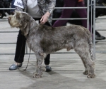 Filename=M-Hugo.jpg
Filesize=197KiB
Dimensions=800x671
Date added=Mar 23, 2021 M-Hugo.jpg