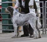 Filename=O-CurlyWurly.jpg
Filesize=228KiB
Dimensions=800x726
Date added=Mar 23, 2021 O-CurlyWurly.jpg