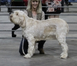 Filename=R-Ellena.jpg
Filesize=209KiB
Dimensions=800x689
Date added=Mar 23, 2021 R-Ellena.jpg