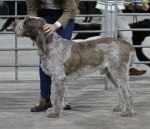 Filename=S-Valentino.jpg
Filesize=212KiB
Dimensions=800x691
Date added=Mar 23, 2021 S-Valentino.jpg