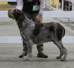 Filename=Franca-Ferola.JPG
Filesize=155KiB
Dimensions=800x737
Date added=Mar 23, 2021 Franca-Ferola.JPG