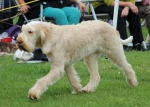 Filename=A-Adrianna_281329.JPG
Filesize=231KiB
Dimensions=1000x717
Date added=Mar 23, 2021 A-Adrianna_281329.JPG