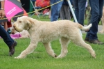 Filename=A-Adrianna_281729.JPG
Filesize=216KiB
Dimensions=1000x663
Date added=Mar 23, 2021 A-Adrianna_281729.JPG
