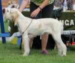 Filename=E-Teagan.JPG
Filesize=281KiB
Dimensions=1000x842
Date added=Mar 23, 2021 E-Teagan.JPG