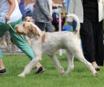 Filename=T-MagicMoments_282029.JPG
Filesize=260KiB
Dimensions=1000x845
Date added=Mar 23, 2021 T-MagicMoments_282029.JPG