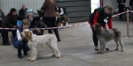 Filename=Open_class-1.jpg
Filesize=141KiB
Dimensions=800x403
Date added=Mar 23, 2021 Open_class-1.jpg