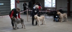 Filename=Open_class-2.jpg
Filesize=126KiB
Dimensions=800x362
Date added=Mar 23, 2021 Open_class-2.jpg