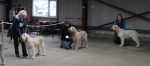 Filename=Open_class-3.jpg
Filesize=119KiB
Dimensions=800x357
Date added=Mar 23, 2021 Open_class-3.jpg