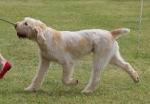 Filename=A-HappyEverAfter-1.jpg
Filesize=222KiB
Dimensions=800x556
Date added=Mar 23, 2021 A-HappyEverAfter-1.jpg