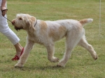 Filename=A-HappyEverAfter-2.jpg
Filesize=230KiB
Dimensions=800x594
Date added=Mar 23, 2021 A-HappyEverAfter-2.jpg