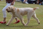 Filename=A-HappyEverAfter-3.jpg
Filesize=216KiB
Dimensions=800x549
Date added=Mar 23, 2021 A-HappyEverAfter-3.jpg