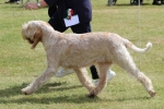 Filename=Aurelia-TheExplorer-1.jpg
Filesize=227KiB
Dimensions=800x538
Date added=Mar 23, 2021 Aurelia-TheExplorer-1.jpg