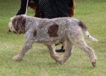 Filename=I-Foo-2.jpg
Filesize=217KiB
Dimensions=800x571
Date added=Mar 23, 2021 I-Foo-2.jpg