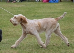 Filename=I-Mima-1.jpg
Filesize=213KiB
Dimensions=800x571
Date added=Mar 23, 2021 I-Mima-1.jpg