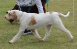 Filename=M-GoodAsGold-1.jpg
Filesize=200KiB
Dimensions=800x513
Date added=Mar 23, 2021 M-GoodAsGold-1.jpg