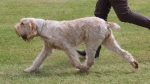 Filename=P-DelVera-2.jpg
Filesize=202KiB
Dimensions=800x451
Date added=Mar 23, 2021 P-DelVera-2.jpg