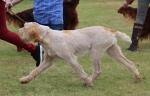 Filename=S-SharpesChallenge-1.jpg
Filesize=199KiB
Dimensions=800x513
Date added=Mar 23, 2021 S-SharpesChallenge-1.jpg