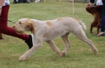 Filename=S-SharpesChallenge-2.jpg
Filesize=192KiB
Dimensions=800x520
Date added=Mar 23, 2021 S-SharpesChallenge-2.jpg